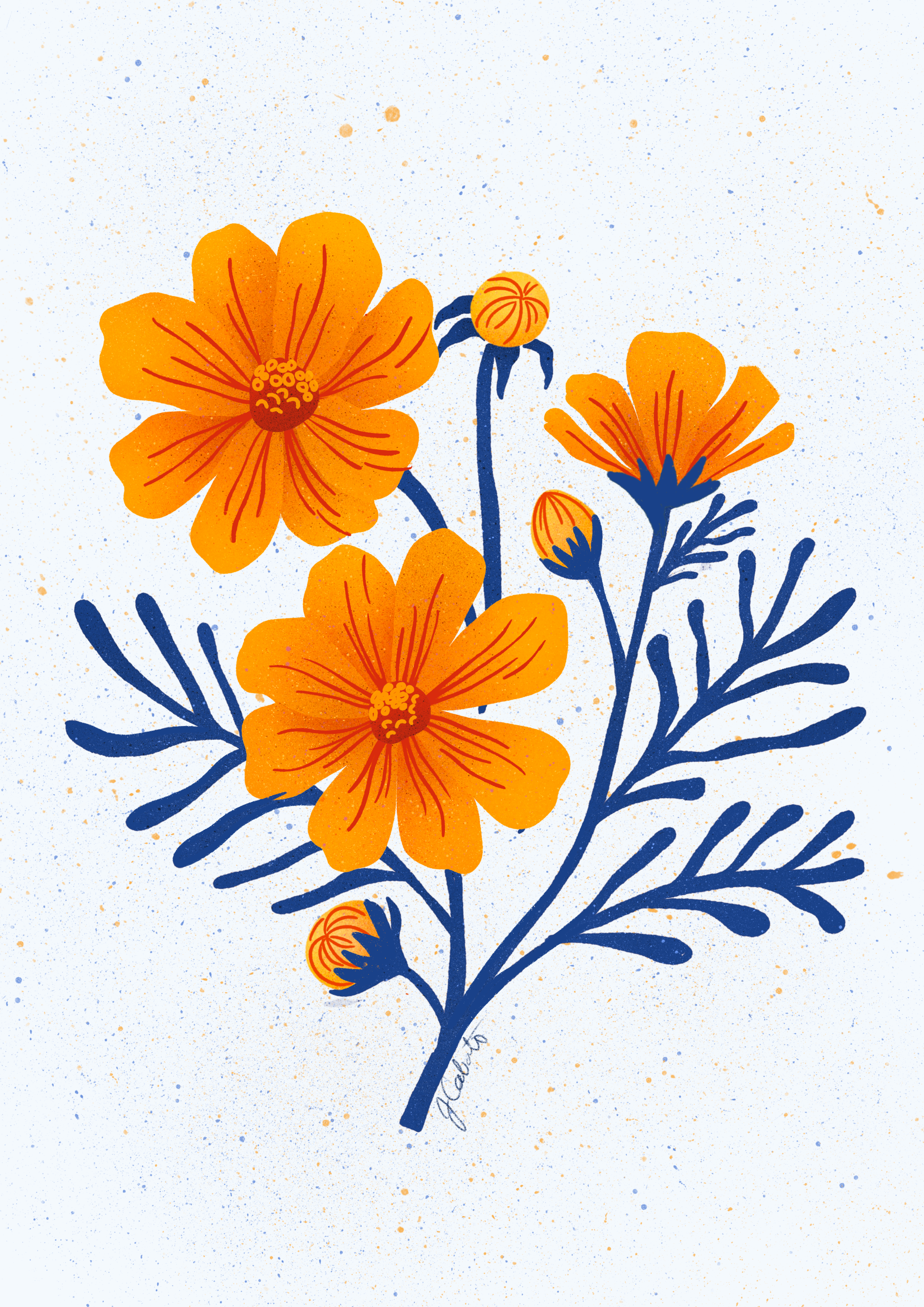Cosmos Flower Art Print – Floral Botanical Wall Decor