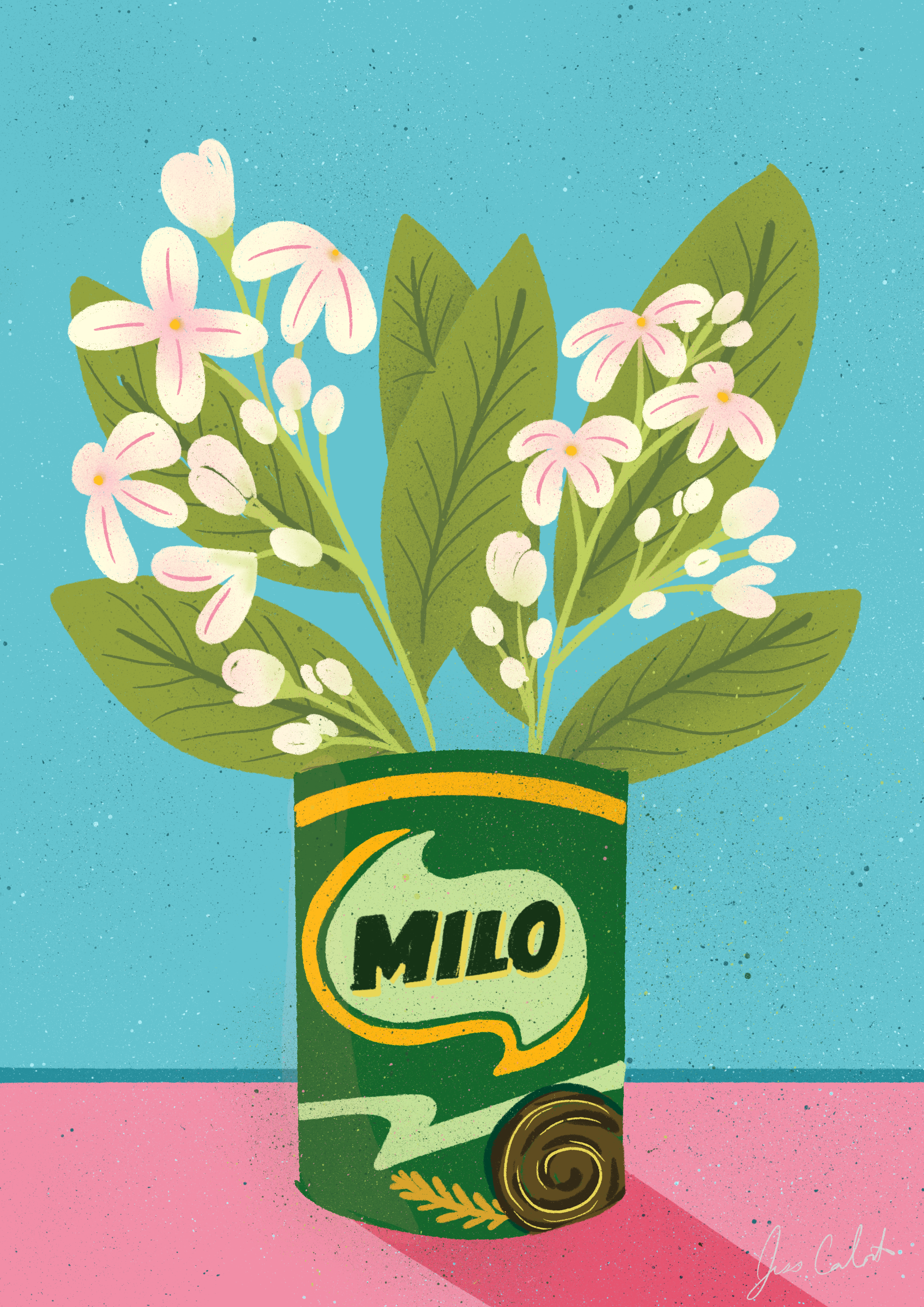 Milo bottle with flowers on a blue and pink background