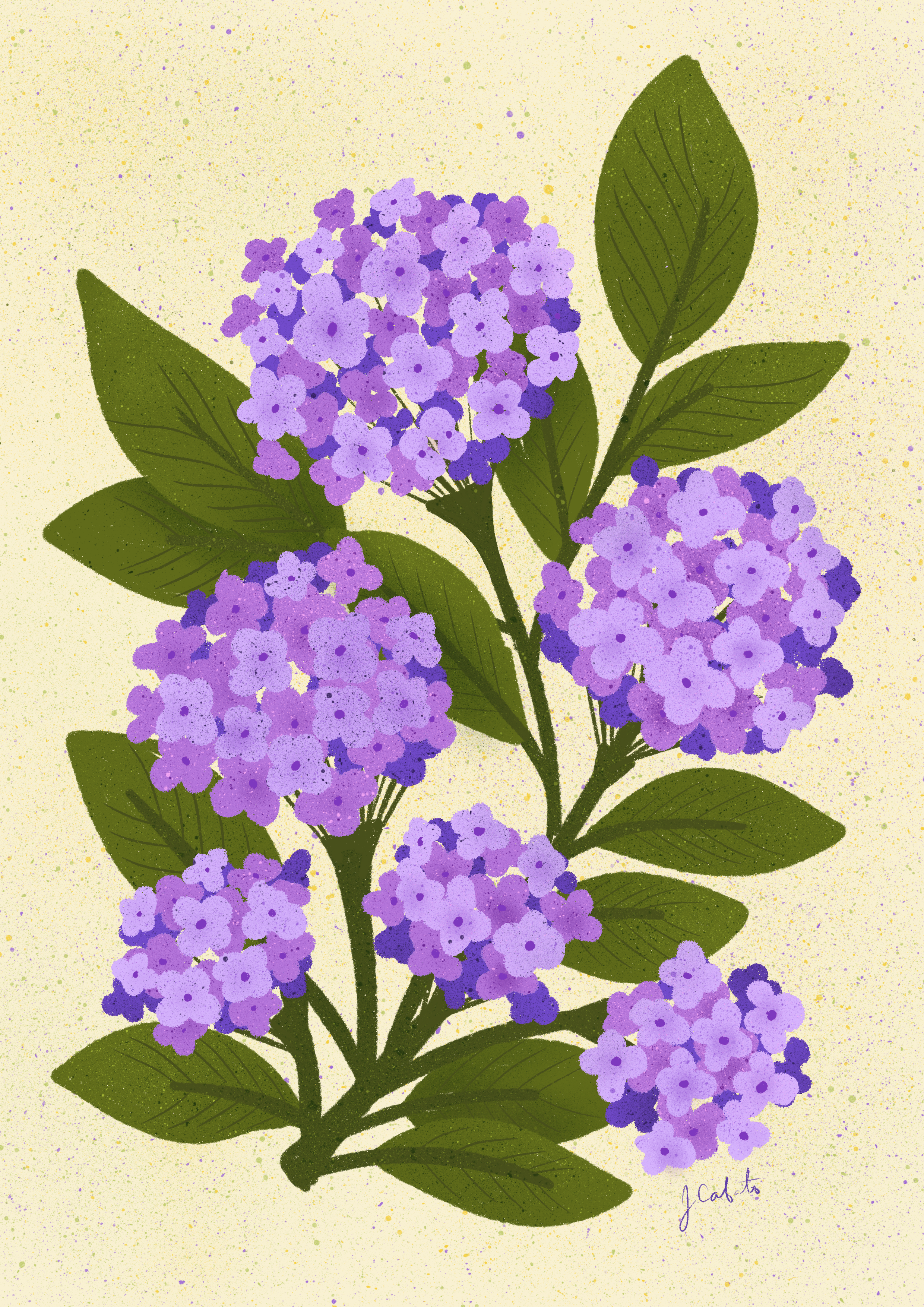 Purple Hydrangea Art Print – Floral Botanical Yellow Wall Decor