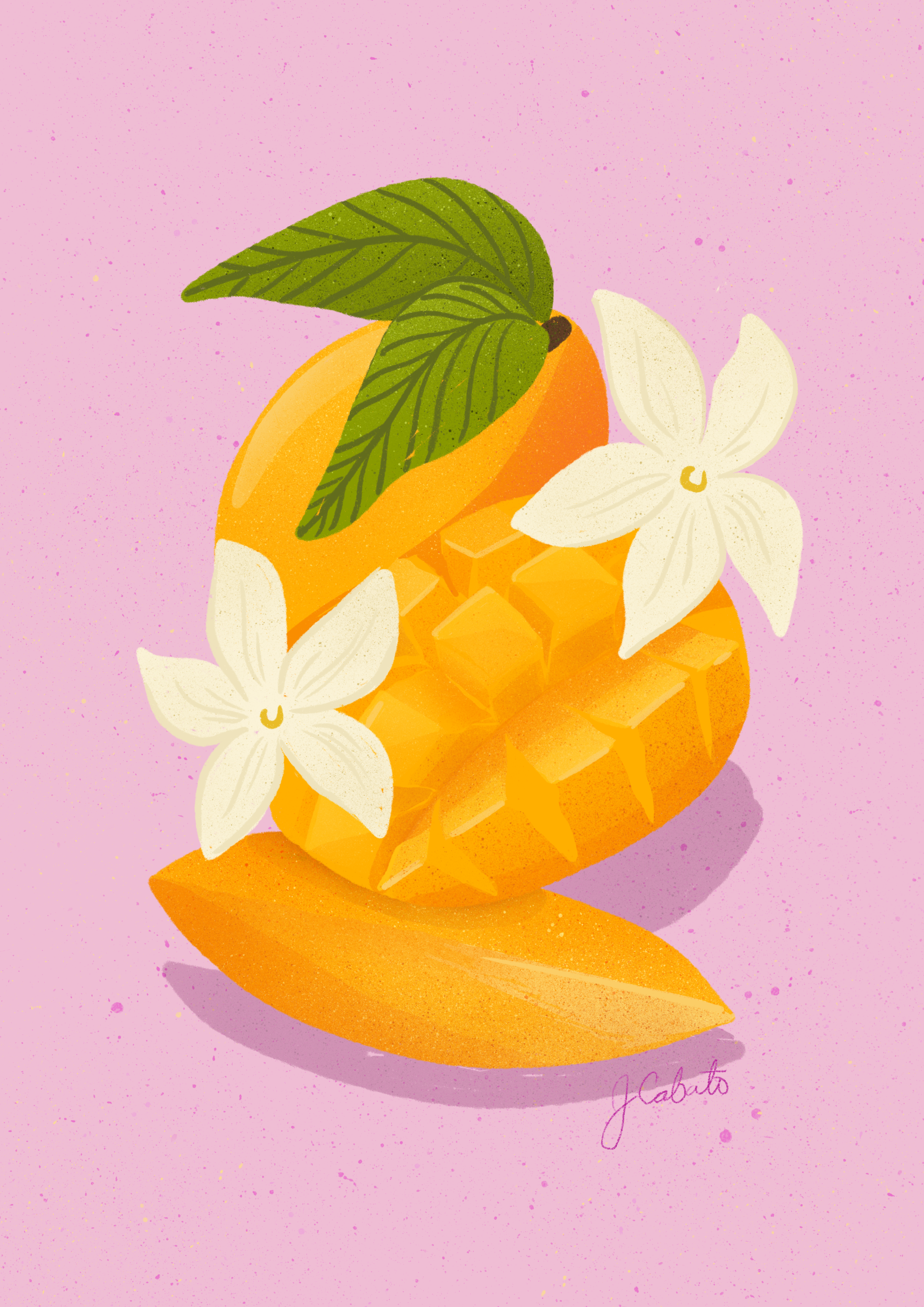 Illustration of a mango with flowers on a pink background
