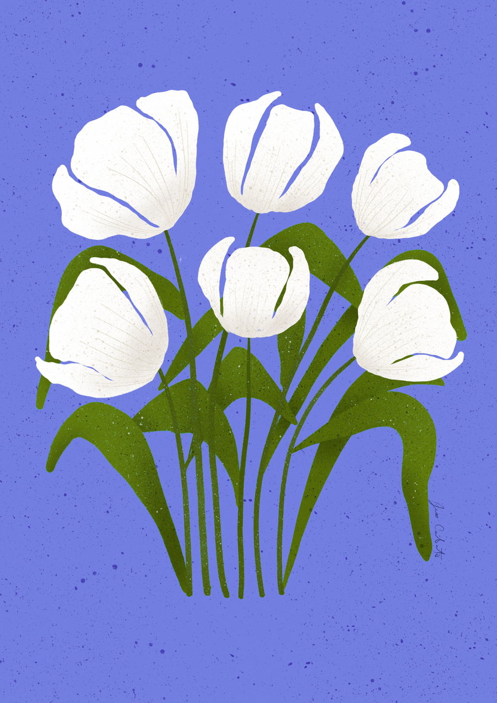 White Tulips – Lavender Field Print