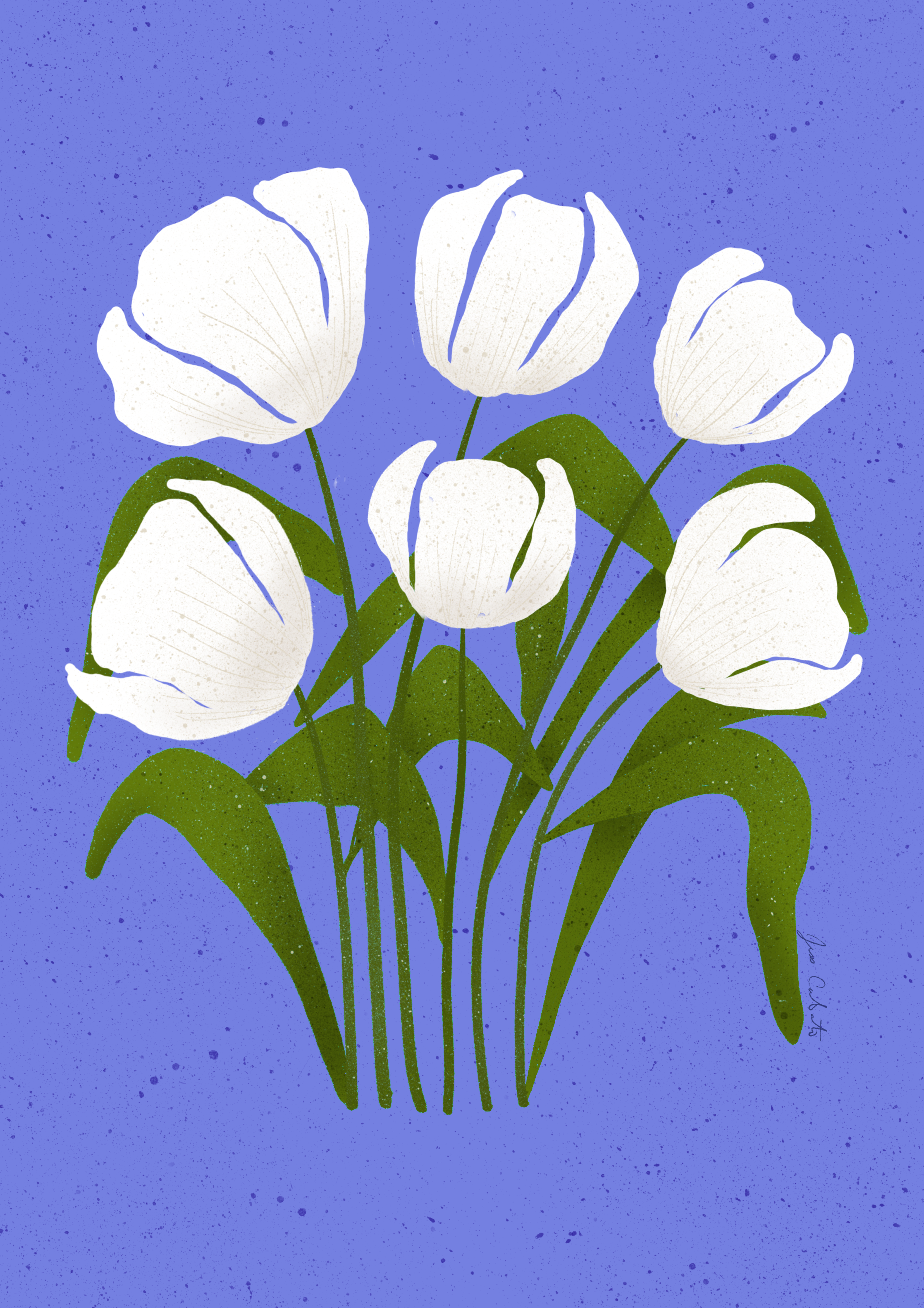 White Tulips – Lavender Field Print