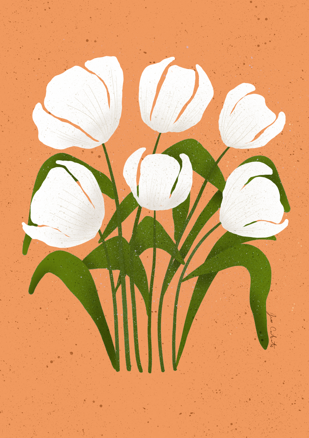 White Tulips on an Orange Background