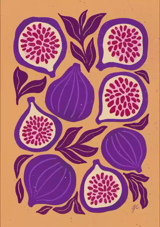 Sunset Fig Harvest Print