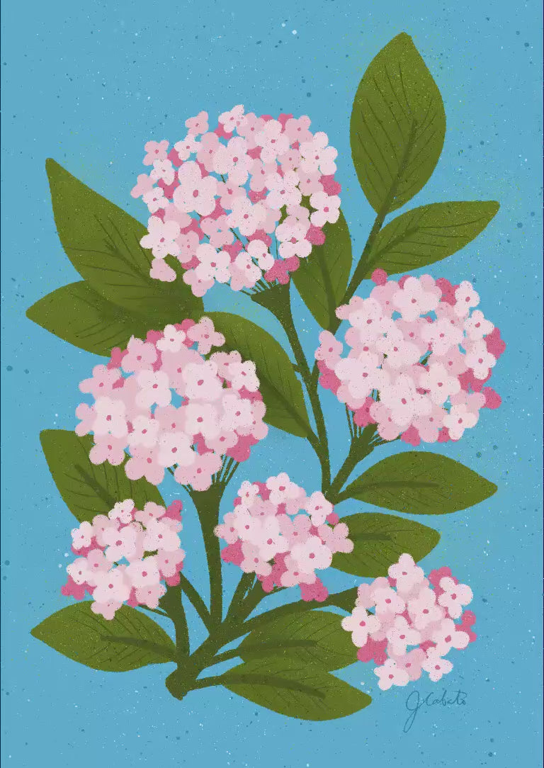 Creation process of Hydrangea art print